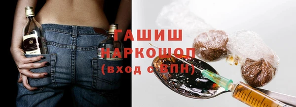 СК Новодвинск