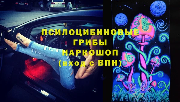 ешки Няндома