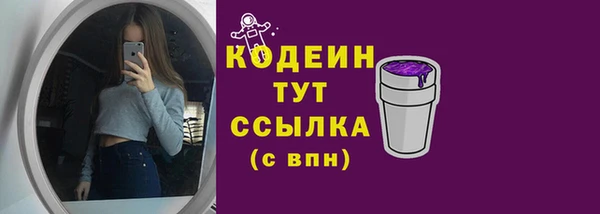 СК Новодвинск