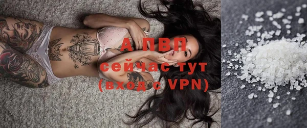 соль ск Новокубанск