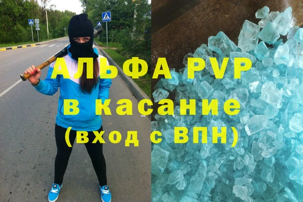a pvp Новозыбков