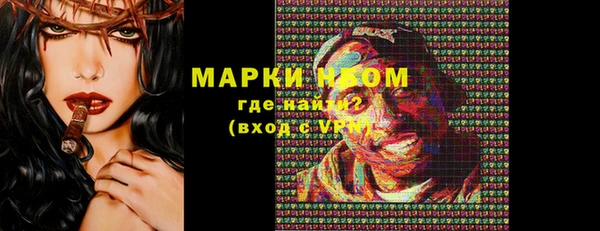 a pvp Новозыбков
