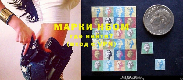 a pvp Новозыбков