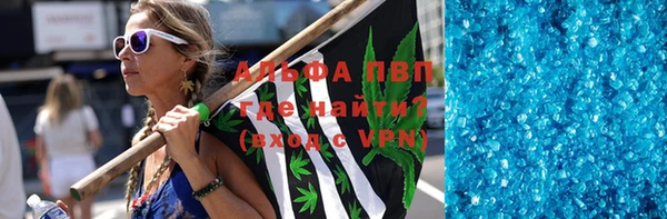 СК Новодвинск