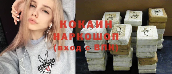 СК Новодвинск