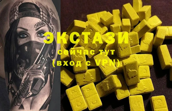 СК Новодвинск