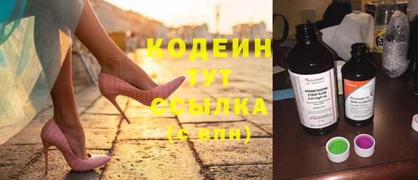 a pvp Новозыбков