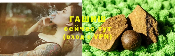 СК Новодвинск