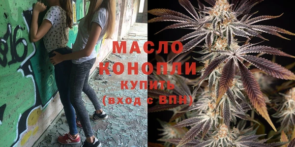 СК Новодвинск
