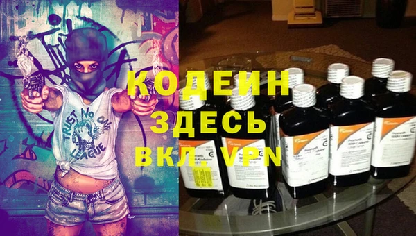 a pvp Новозыбков