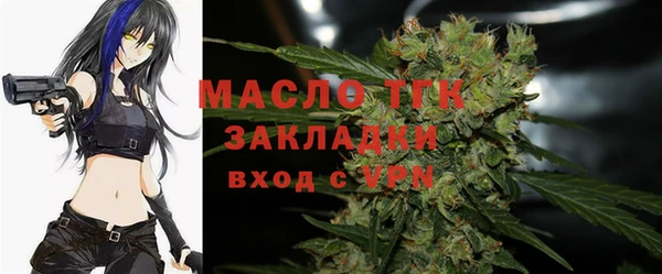 СК Новодвинск
