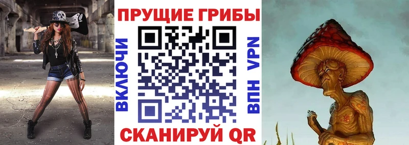 Псилоцибиновые грибы мицелий  Купить где  Славгород 