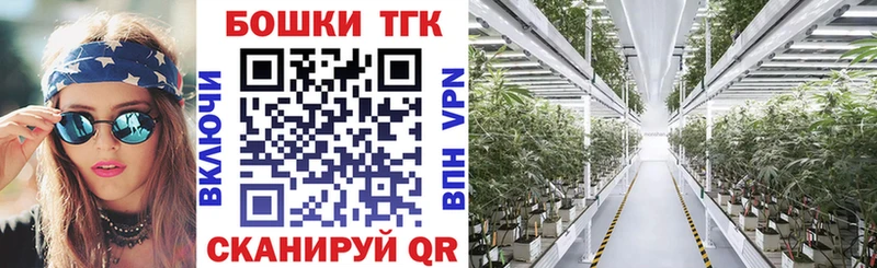 Бошки Шишки VHQ  Купить закладки  Славгород 